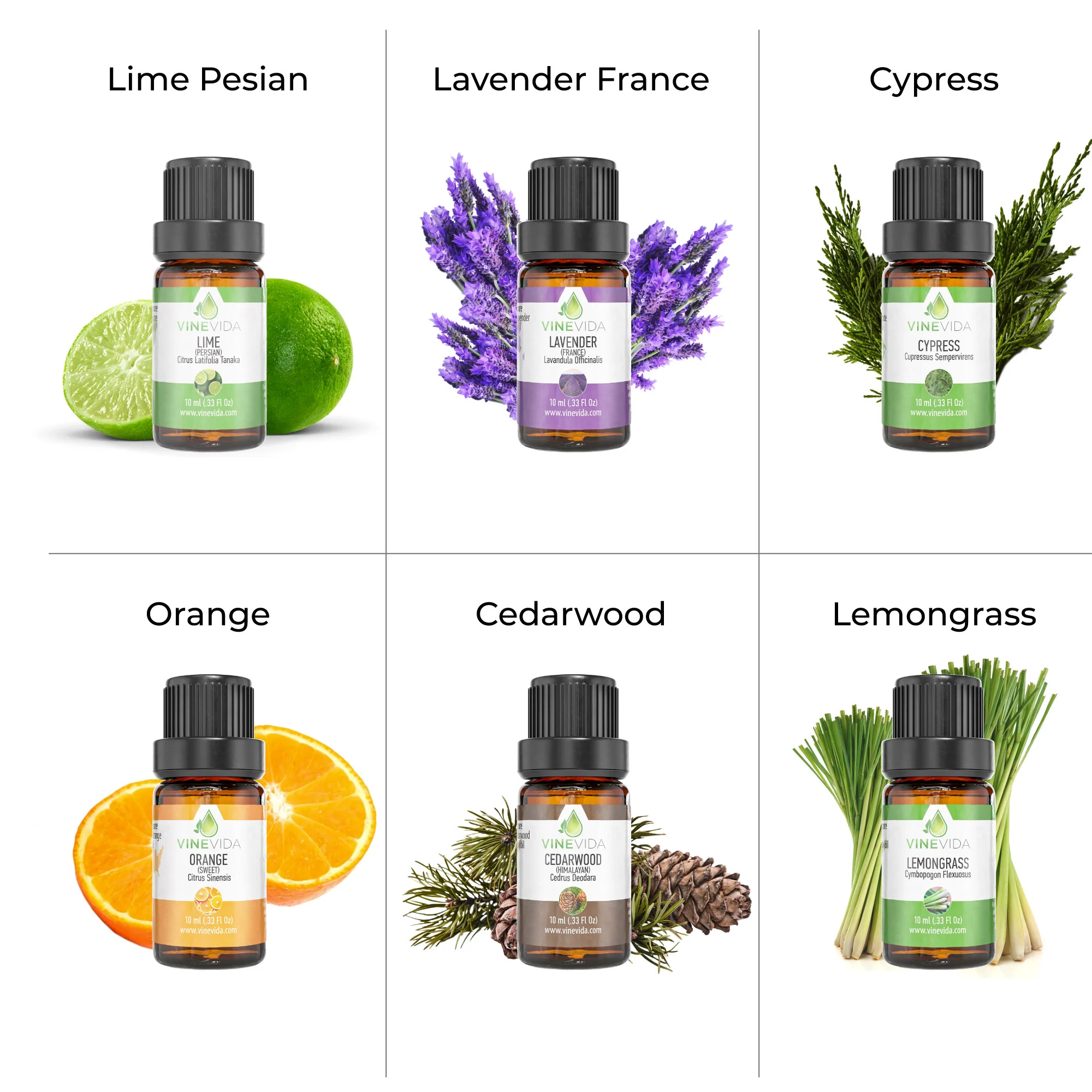 Bright and Breezy Essential Oil Set - Image 6