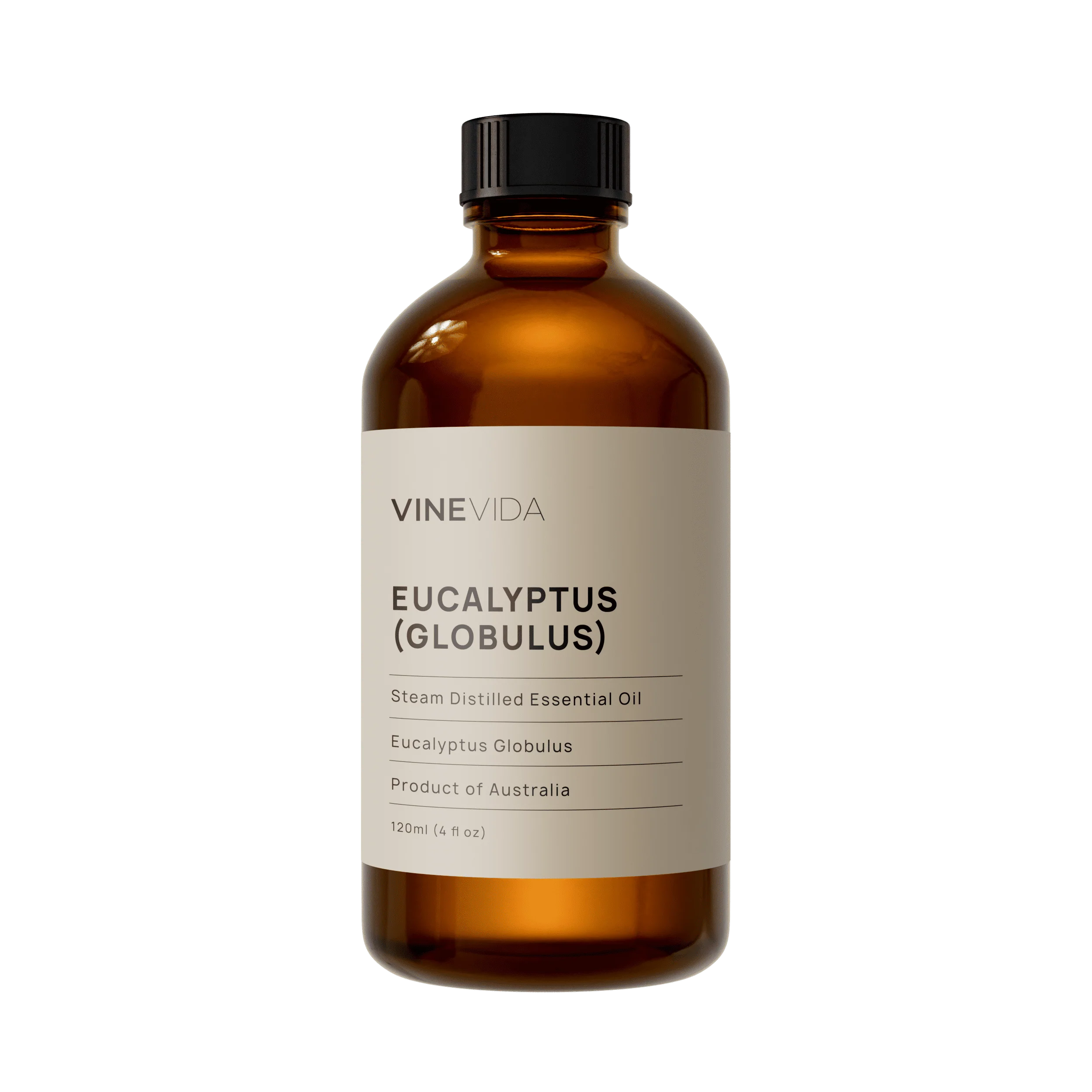 Eucalyptus (Globulus) Essential Oil - Image 3