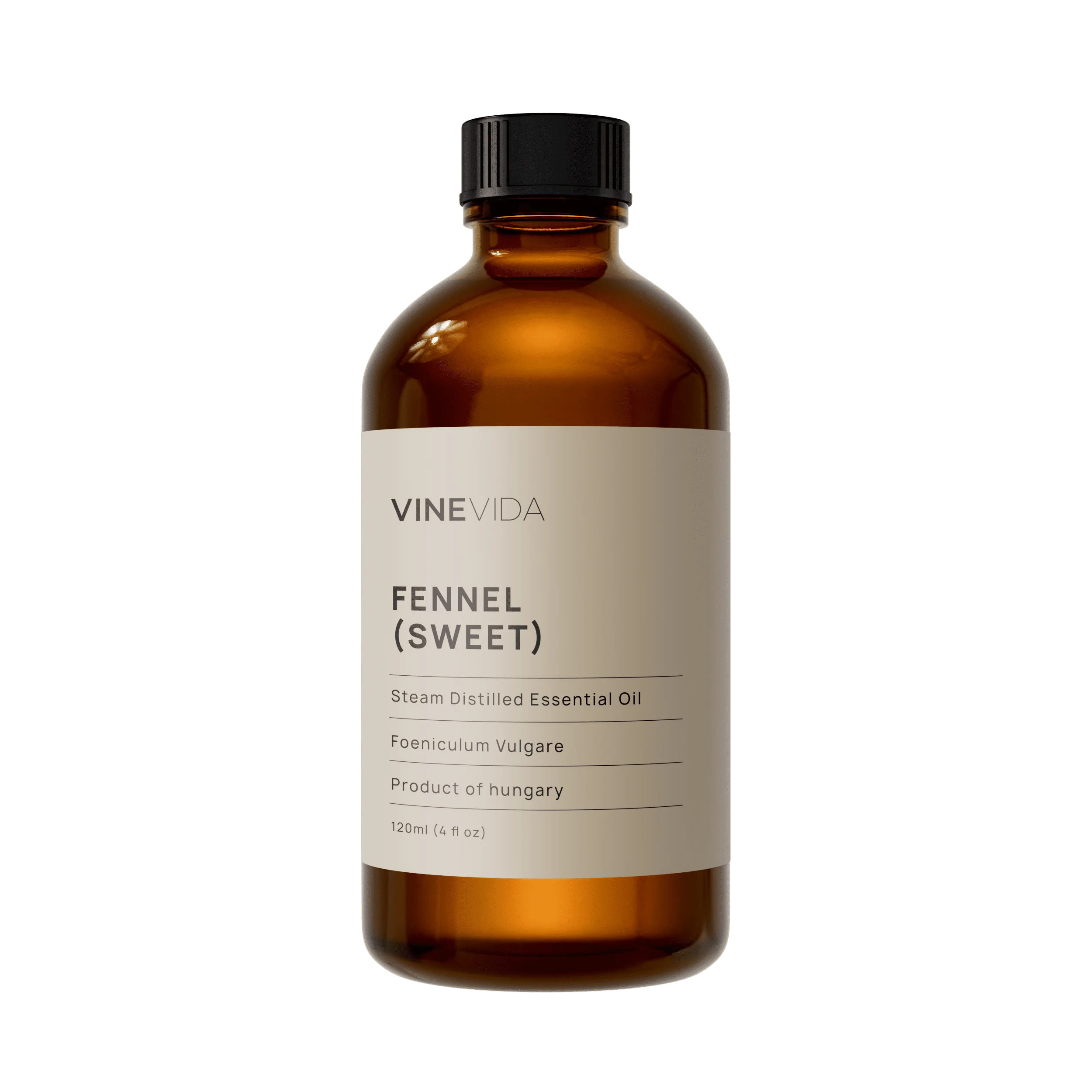 Fennel (Sweet) Essential Oil - Image 3