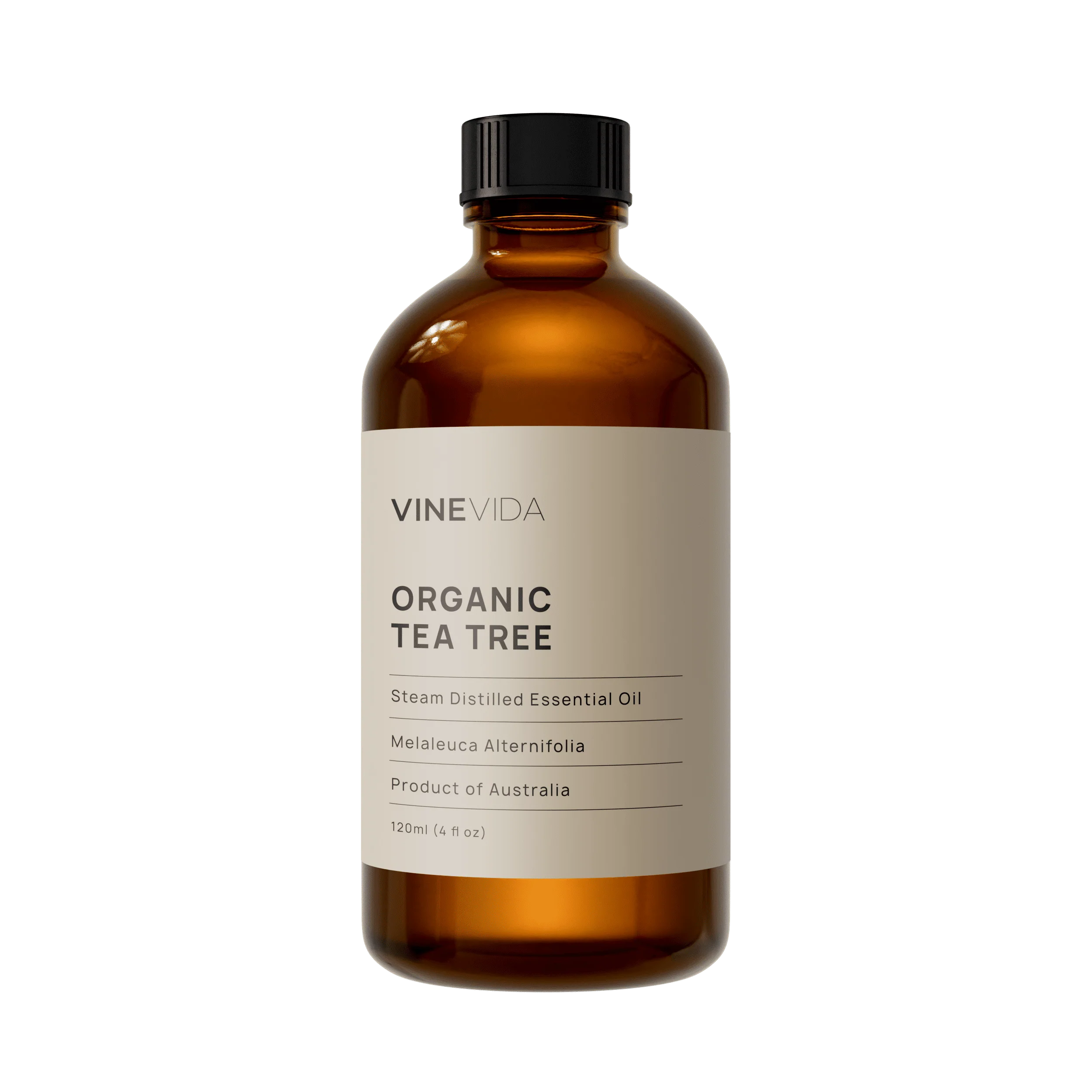 Organic Tea Tree (AAA) Essential Oil - Image 3