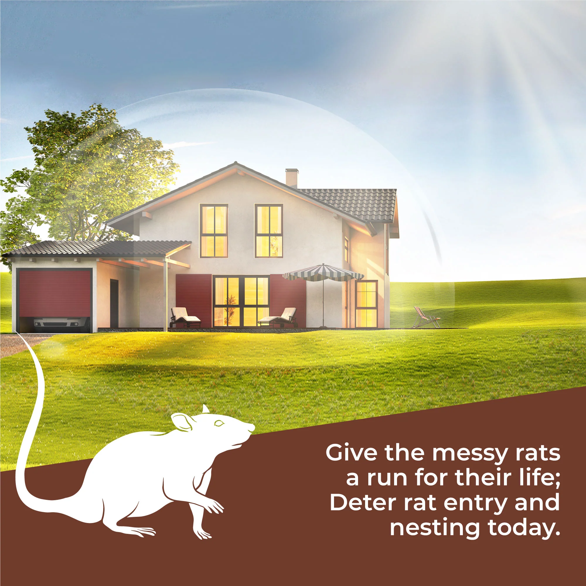 Rat Repellent - Image 5
