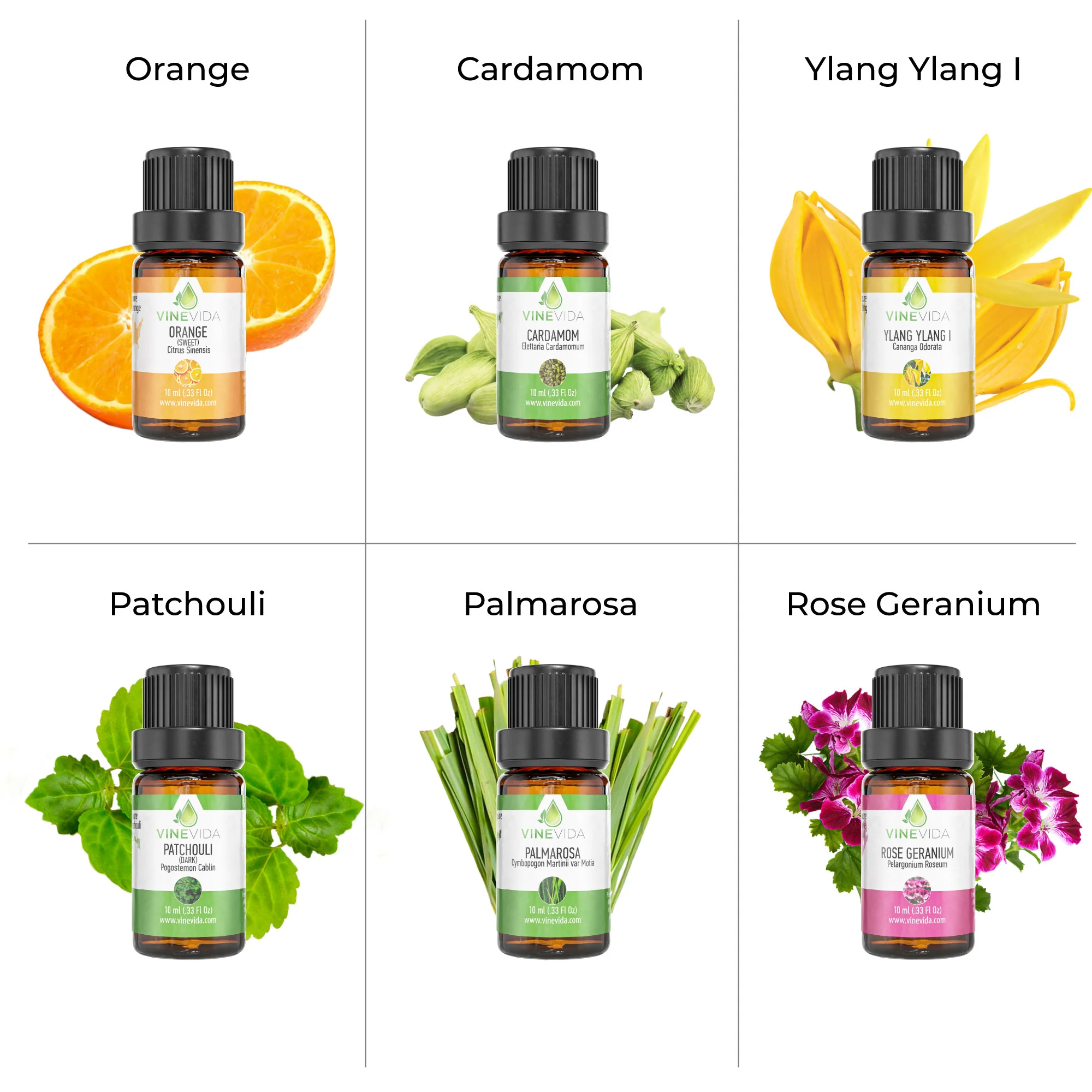 Romance Essential Oil Set - Image 6