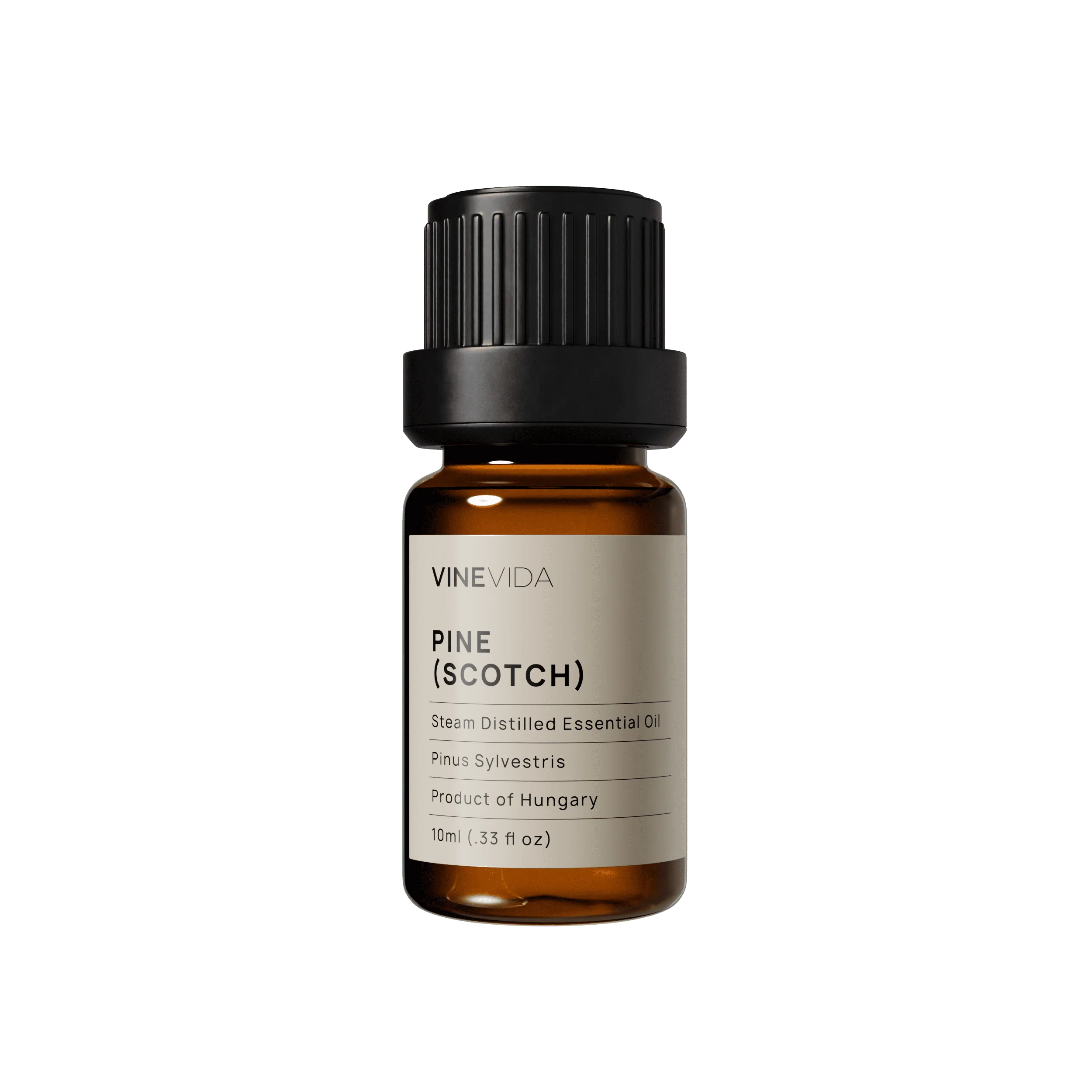 Pine (Scotch) Essential Oil - Image 2