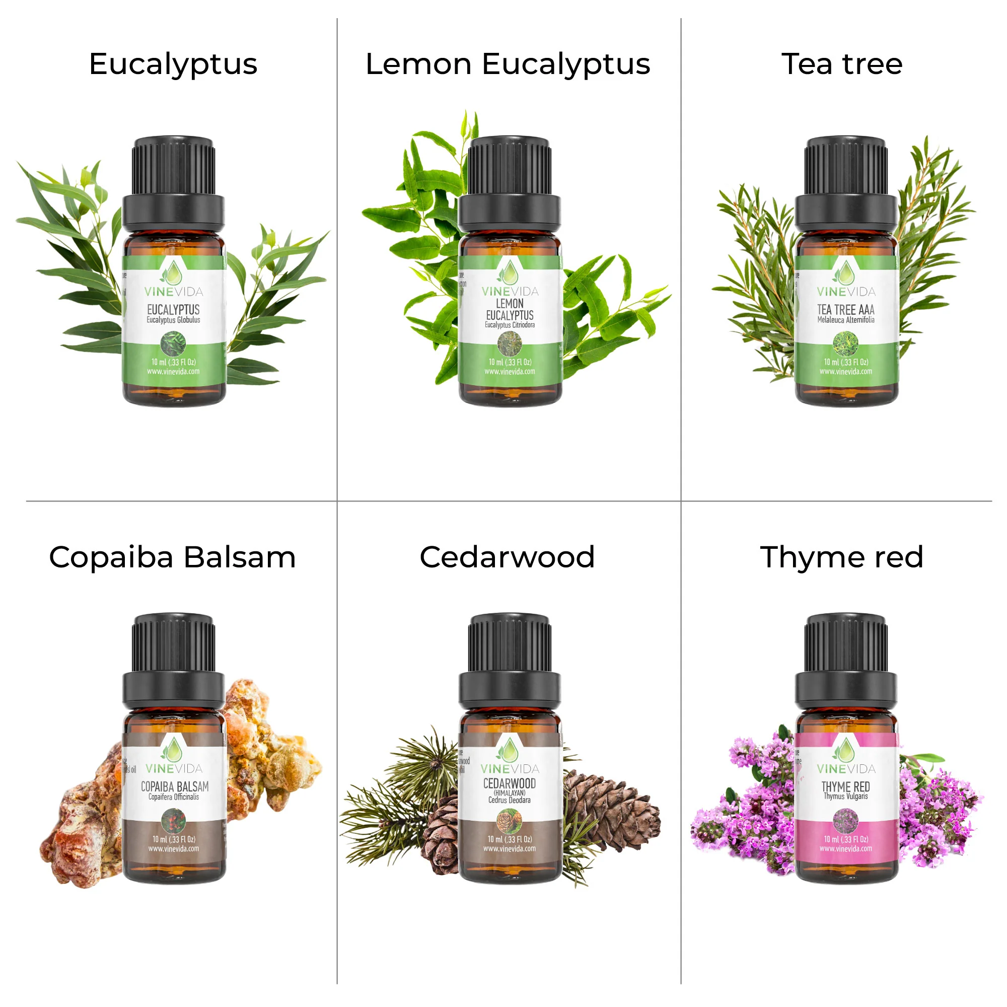Sniffle Essential Oil Set - Image 6